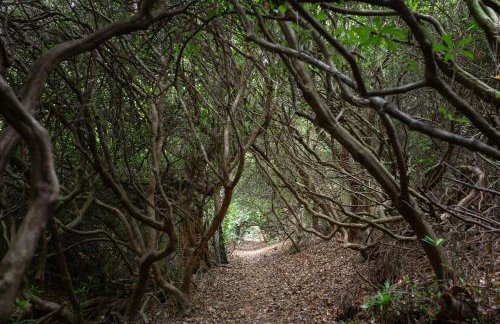 Amos Lodge Deluxe Accommodation - Photo 71