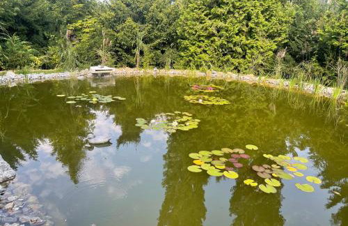 Moderne, ruhige Ferienwohnung , ideal zum Abschalten - Foto 11