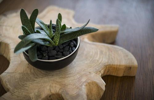 Conte Marco Sunny Garden Home - Foto 7