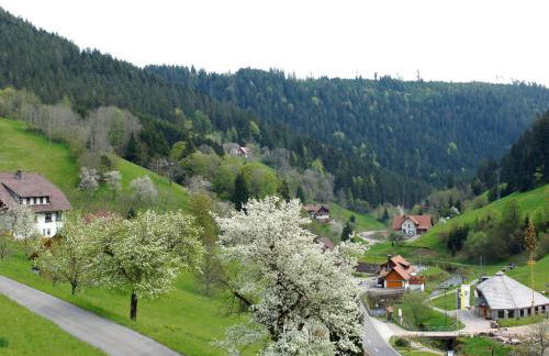 Landpension Am Sommerhang - Photo 2