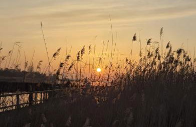 Urlaub unterm Reetdach - Foto 31