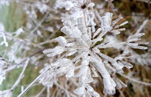 Ferienhaus Mauth - Photo 128