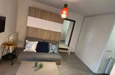 Studio Chic Little Bohême proche hôpitaux, 15 mn du centre - Foto 10