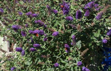 Wohnung Waltraud - Foto 39