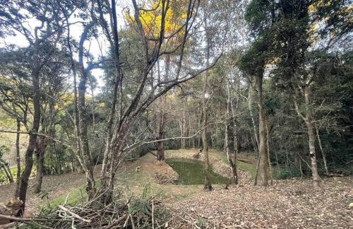 Reserva Atibaia / Casa de Montanha - Photo 53