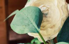 Domki Sielankowo - Foto 12