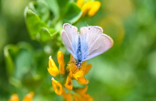 Quinta Lusitânia - Photo 50