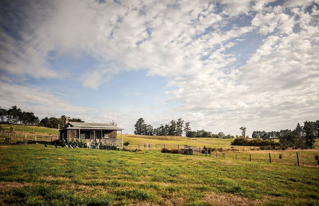 Wines for Joanie Cottage - Foto 17