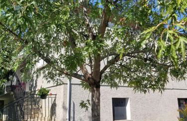 Gîte La Villa Gaïa - Foto 25