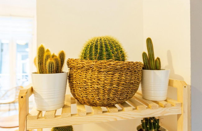 Exceptional Flat Near Metro and Galata - Photo 20