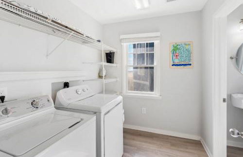 CAC-23B - Zebrafish - Foto 31