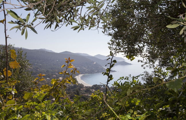 Villa Pina - Foto 29