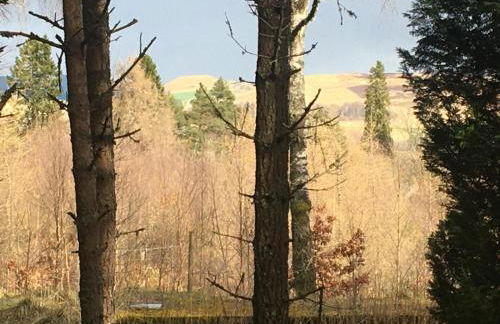 Our Log House in the woods - Photo 35