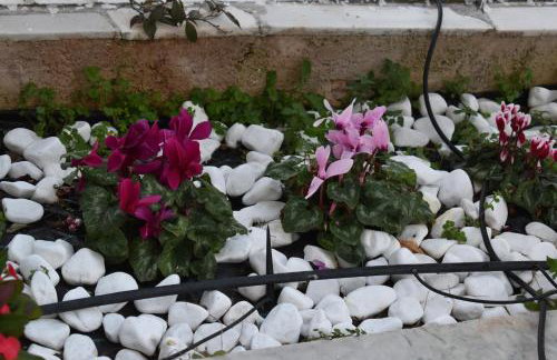 Panorama Γλυκά Νερά - Athens - Foto 11