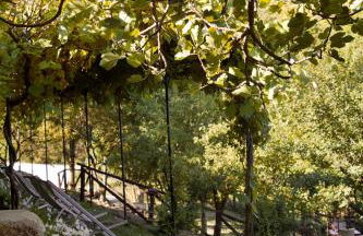 Borgo Casale - Photo 37