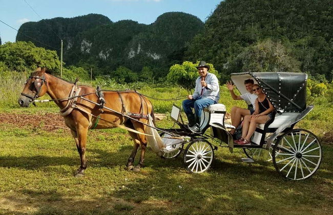 Viñales Valley Carriage Ride - Photo 6