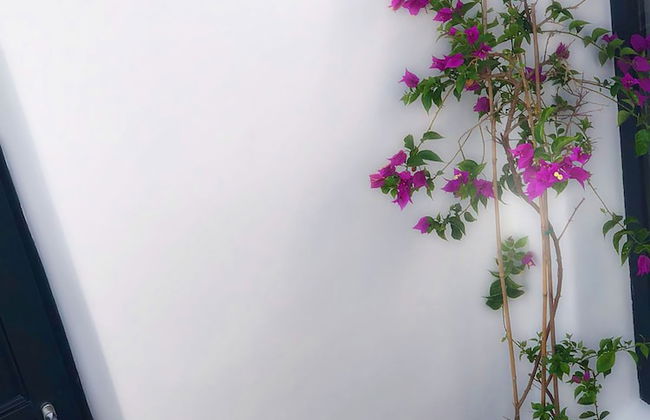 The Luna Suites - Foto 42