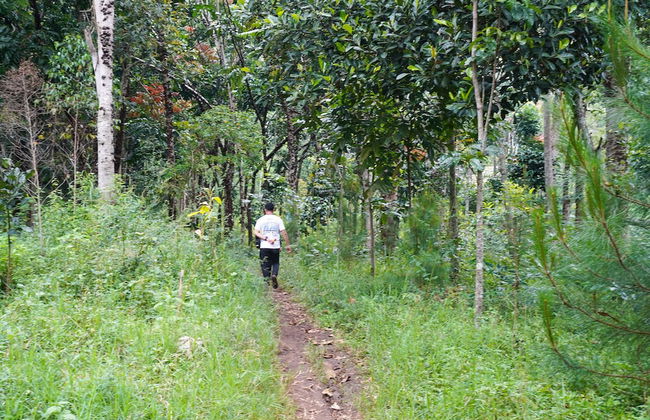 OYO Homes 91006 Eco Tourism Desa Cibodas Areng 5 Syariah - Photo 47