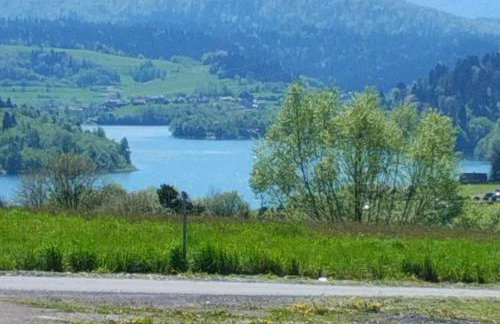 "Widokowe Wzgórze"domki z widokiem na jezioro w Polańczyku z klimatyzacją - Photo 34