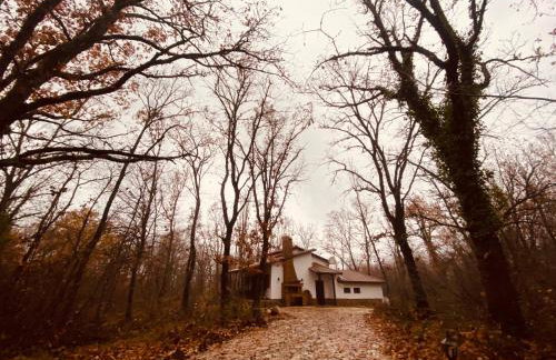 Arnaia Forest Villa - Photo 29