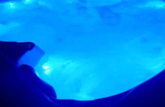 Casa de Moledo jacuzzi e sauna - Foto 12