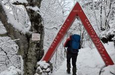 OG Apartman - Foto 7