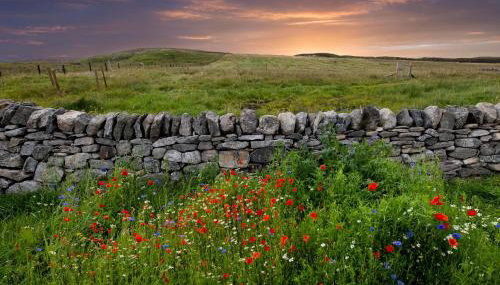 21 Callanish Luxury Pod - Foto 4