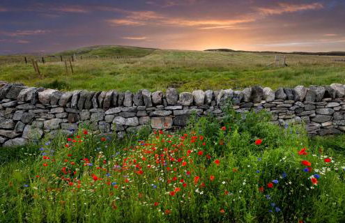 21 Callanish Luxury Pod - Photo 4