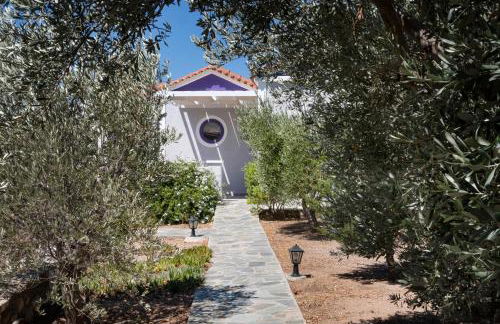 Pleiades Samos - Foto 4