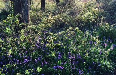 Yellowham Farm, Dorchester - Photo 10