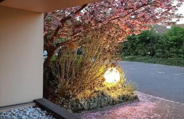 Soundproof Studio Geneva Airport 10 min and UN 20 min - Foto 17