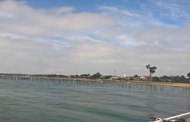 Les Calicots Sanguinet - Photo 15