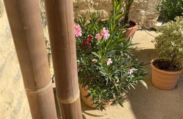 Pujaut , Gîte cœur de village « sous le clocher» - Photo 20