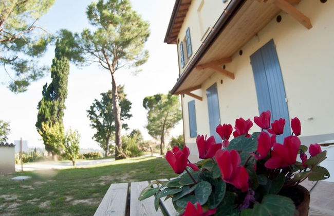 Agriturismo Campanacci - Foto 50