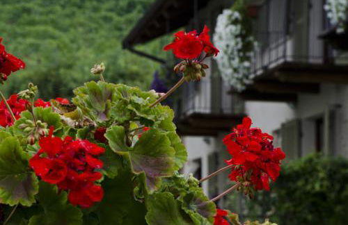 Sul Bric Dei Capalot - Photo 13