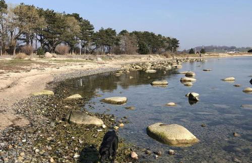 To"n Luchtfuer Comfortable Holiday Residence - Foto 61