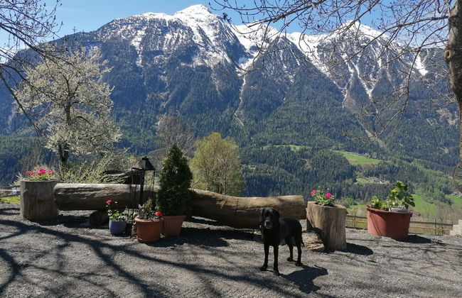 Ferienwohnung Plattner - Foto 59