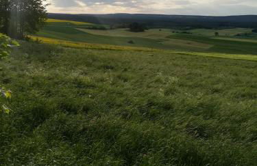Ferienwohnung Hasenfratz - Foto 39