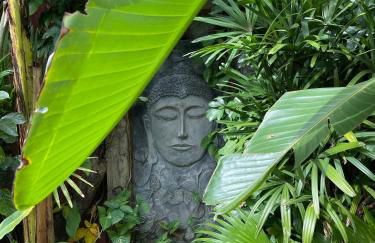 CASA DE CHICO - Tiny & Suíte - Foto 14