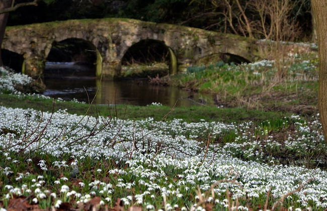 Cellardyke 3-bed Cottage, Sleeps 6 by Seafront - Foto 22