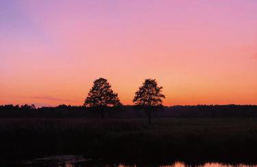 Sosnówka - dom wypoczynkowy na Kurpiach - Foto 33