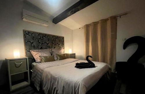 Charme urbain sous les toits-Terrasse/Clim/Parking - Photo 12