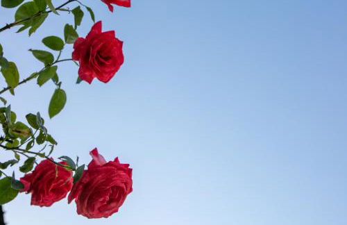 Casale Le Sette Vene - Photo 15