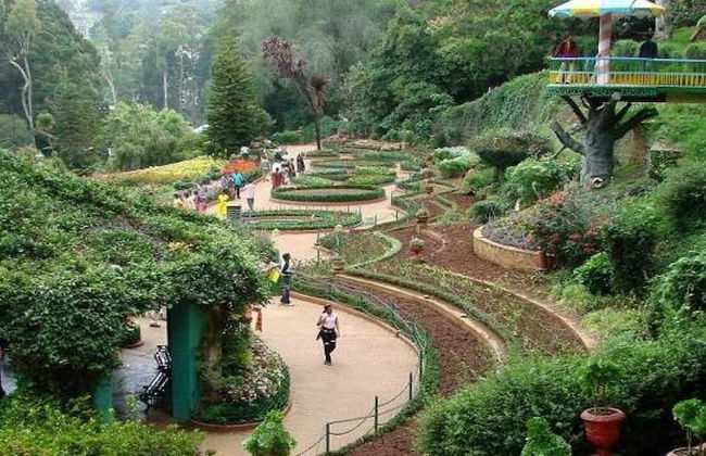 ONELOVEDALE Blusalz Homes - Foto 6