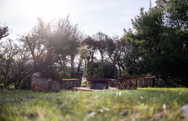 Beachcomber - Foto 39