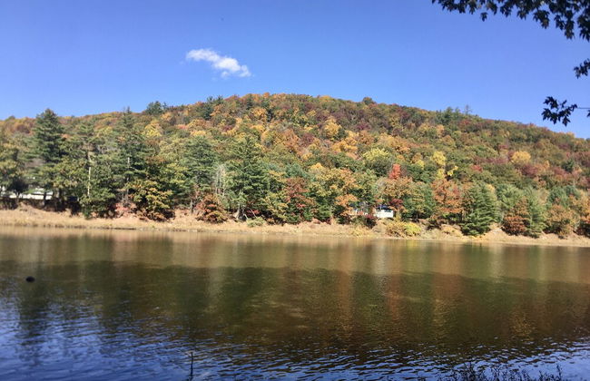 Pocono Dog-Friendly Home on River - Foto 34