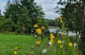 Cichy Brzeg Mazurski - Foto 35