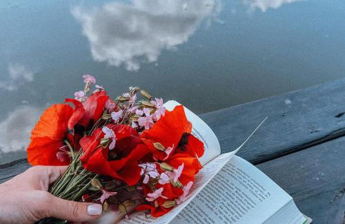 Kraina Poraj - Foto 34