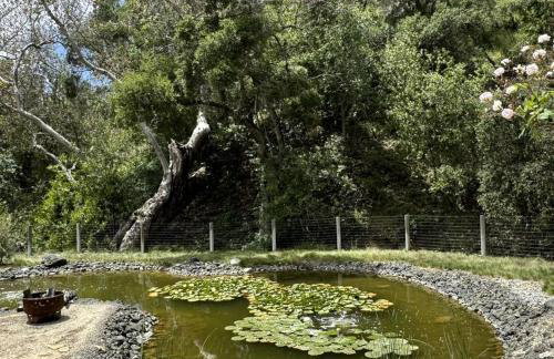 Chic Woodland Yurt Rental on a Wellness Ranch in Southern California - Foto 11