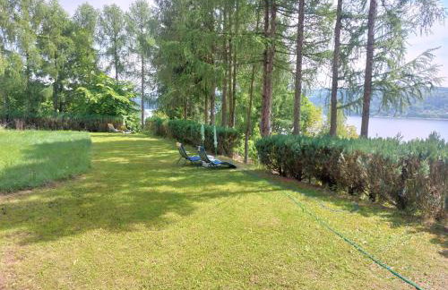 Farma Zdrowia - Foto 75